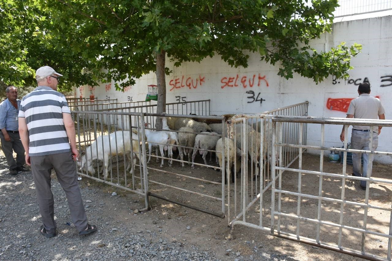 Balıkesir’in Edremit Belediyesi Kurban