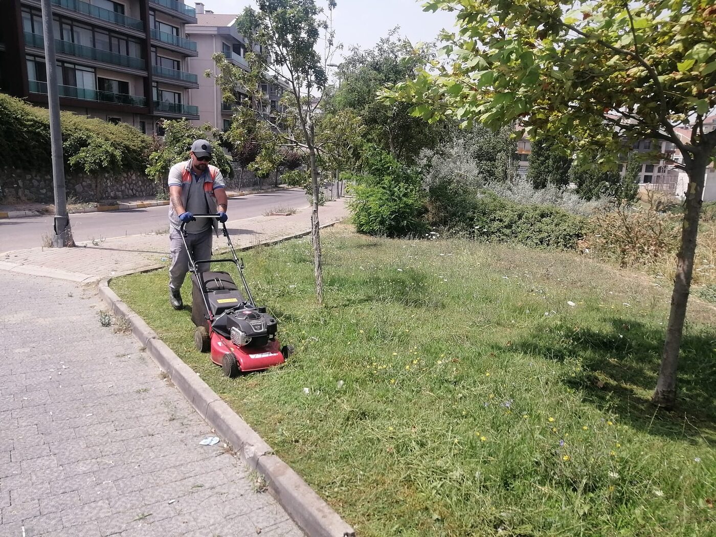 Bandırma'da belediye ekipleri ilçedeki