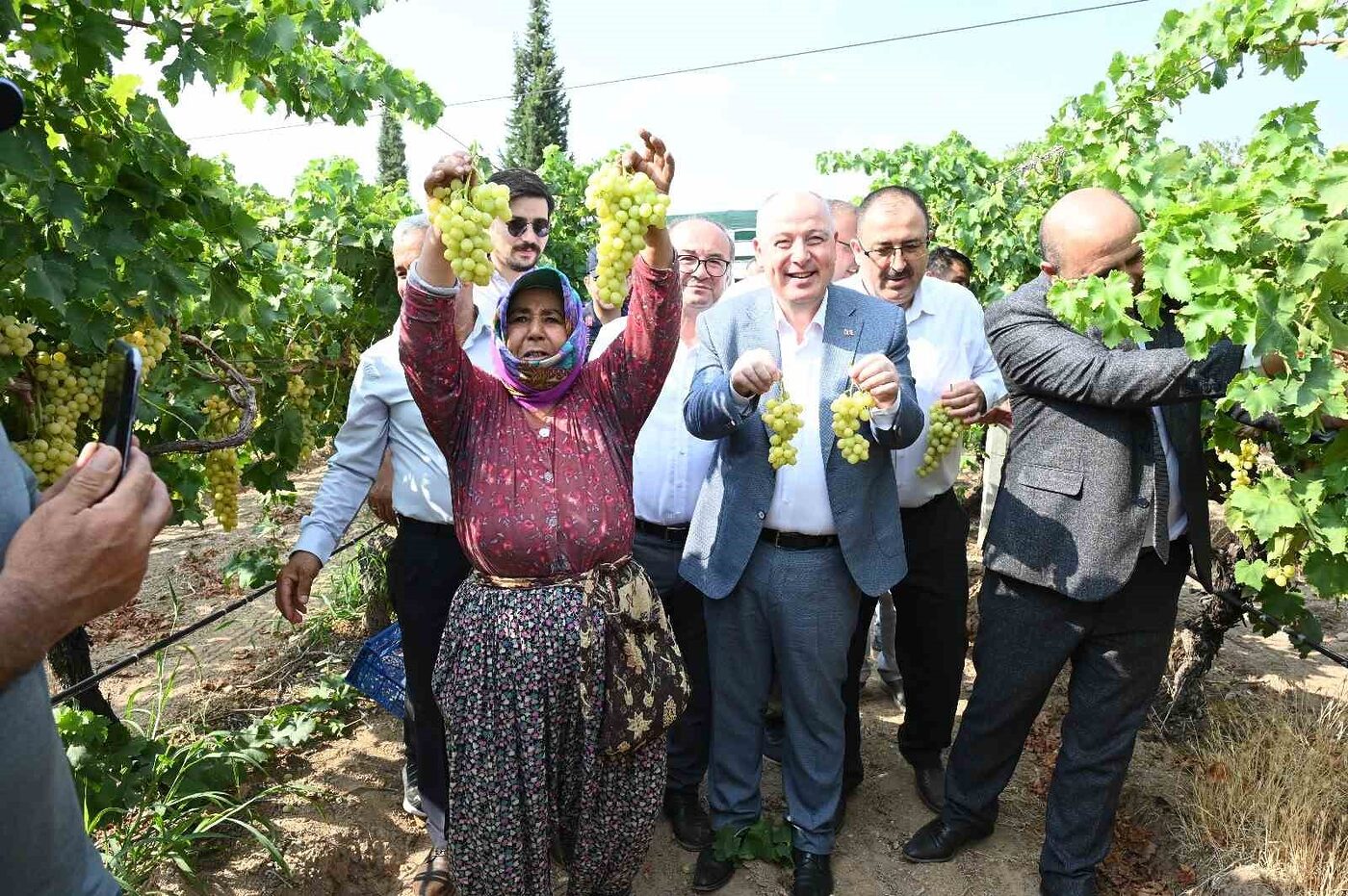 Denizli’nin Buldan ilçesindeki bağlarda