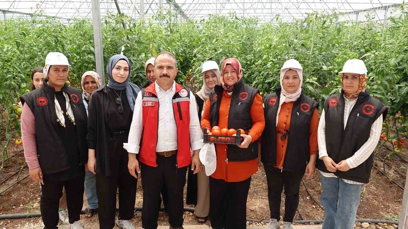 Gaziantep’in Yavuzeli ilçesinde hayata