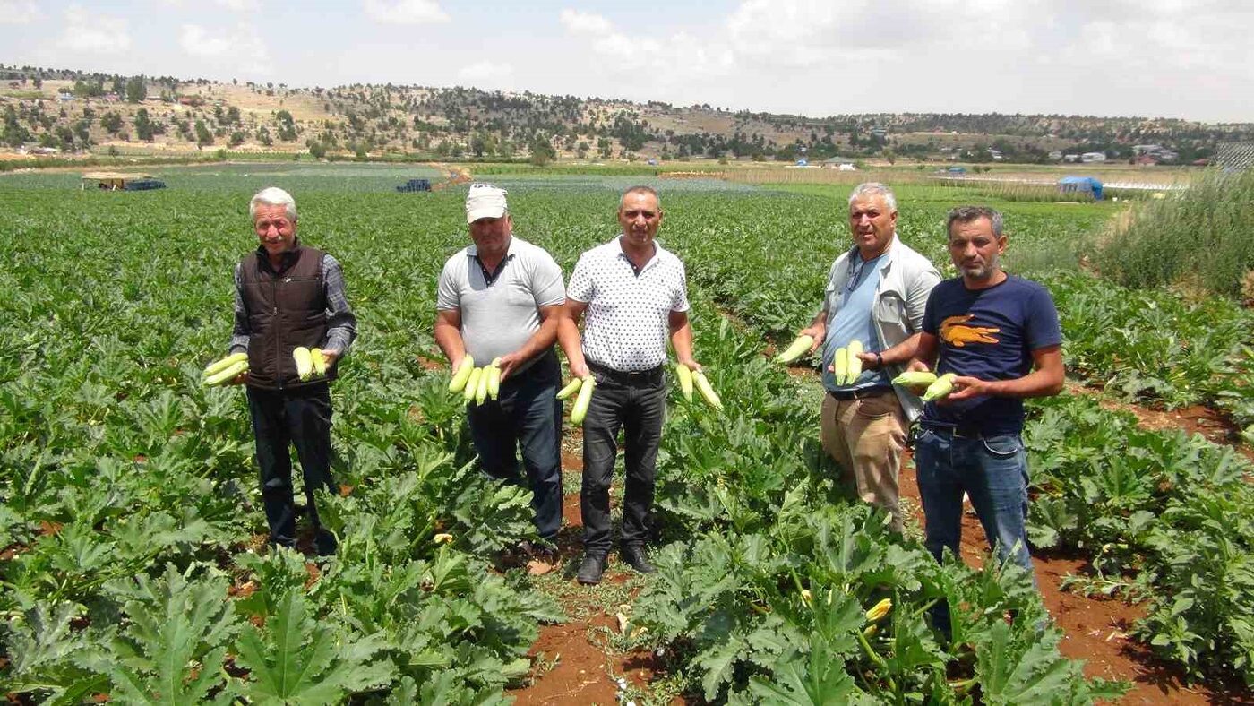 Mersin’in Silifke ilçesine bağlı