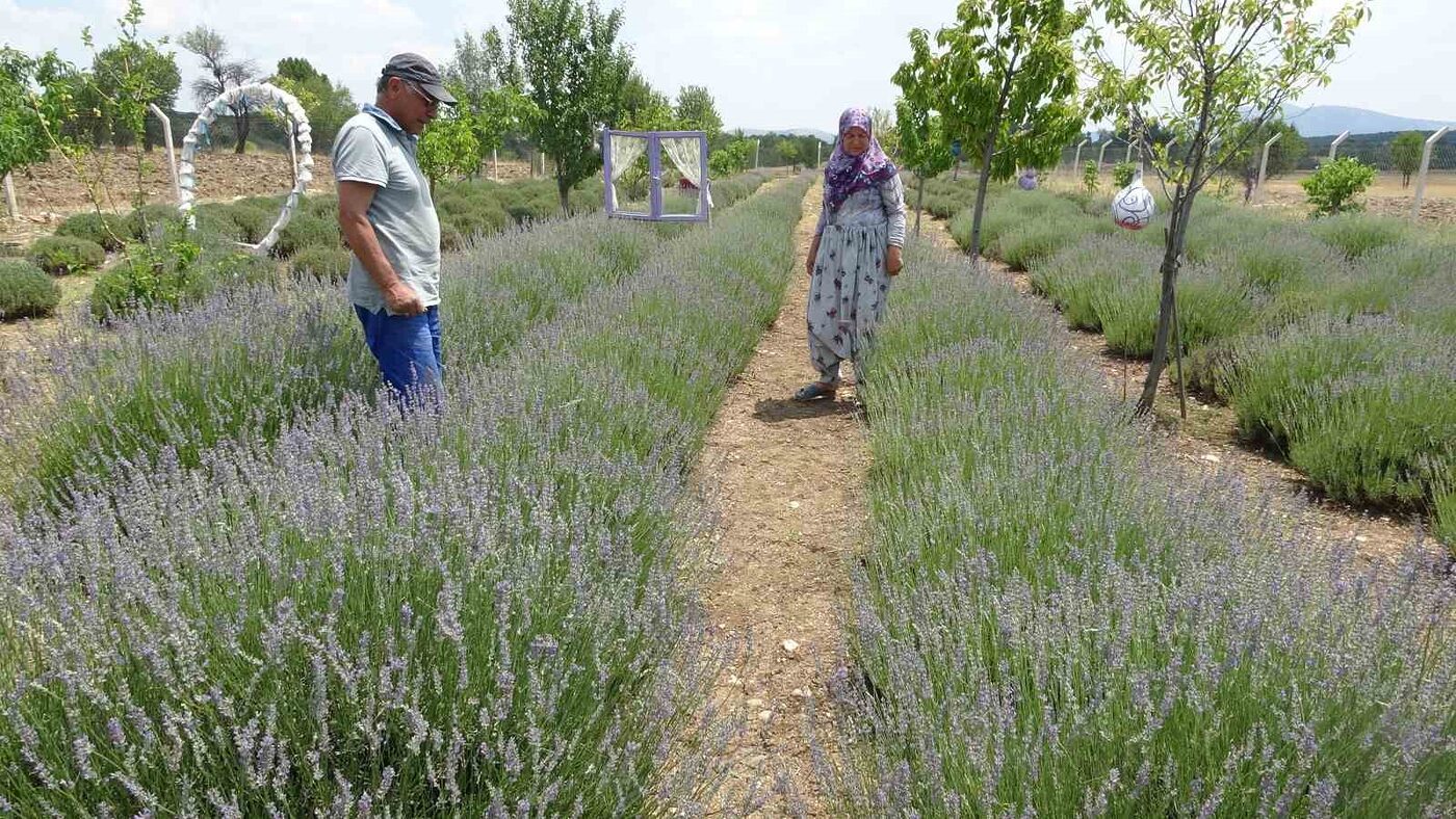 Kütahya’da Daşgın çiftinin hobi