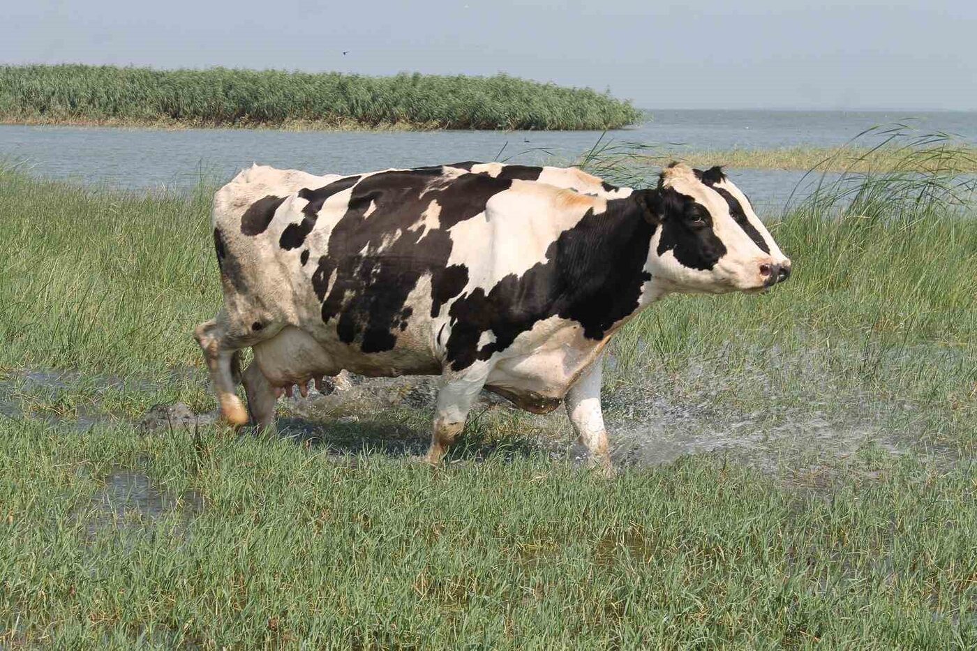 Hava sıcaklıklarının mevsim normallerinin