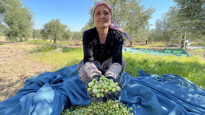 Tarımsal üretimde iklim değişikliğinin