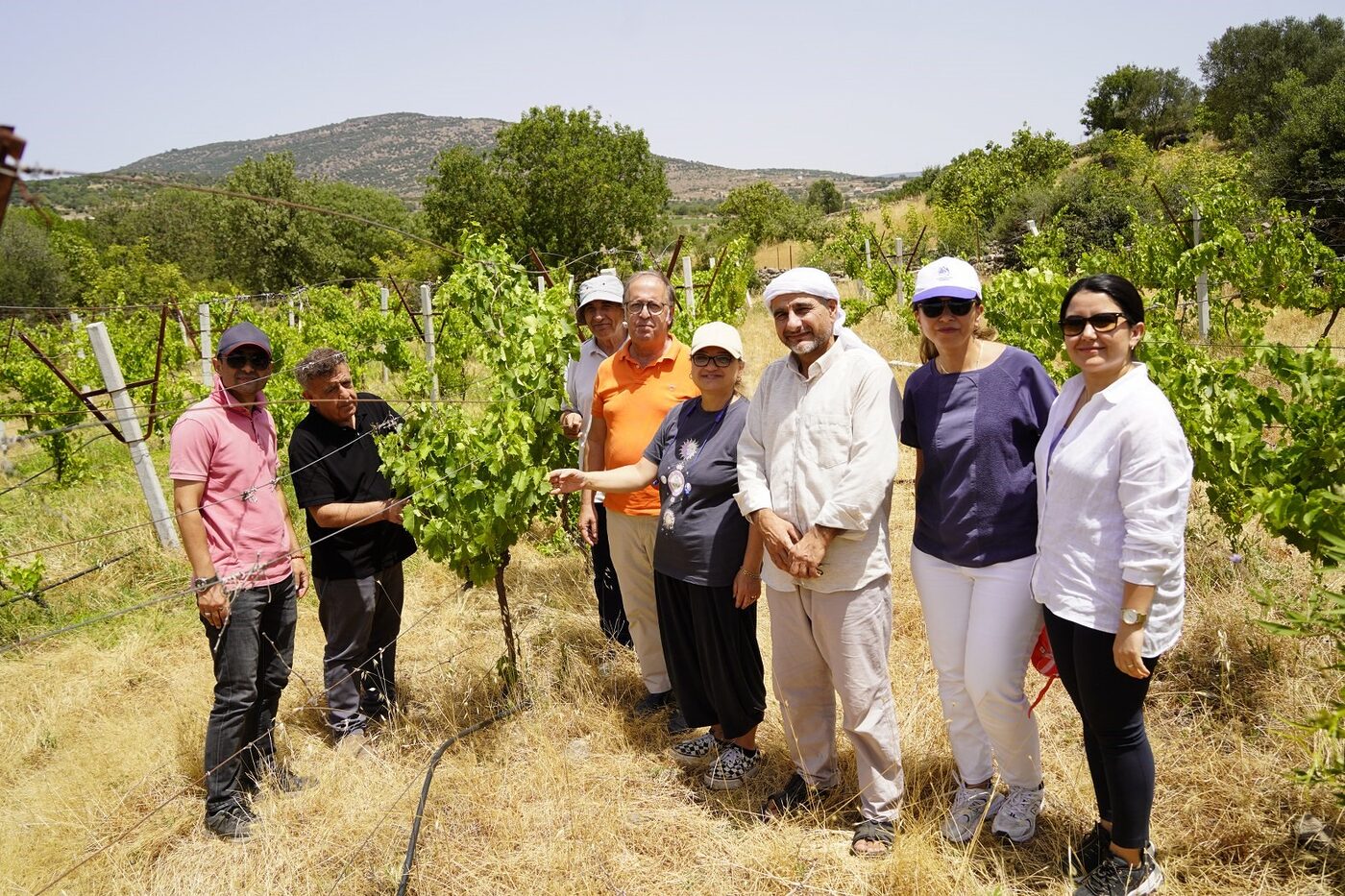 Yunusemre Belediyesi’nin Manisa Bağcılık