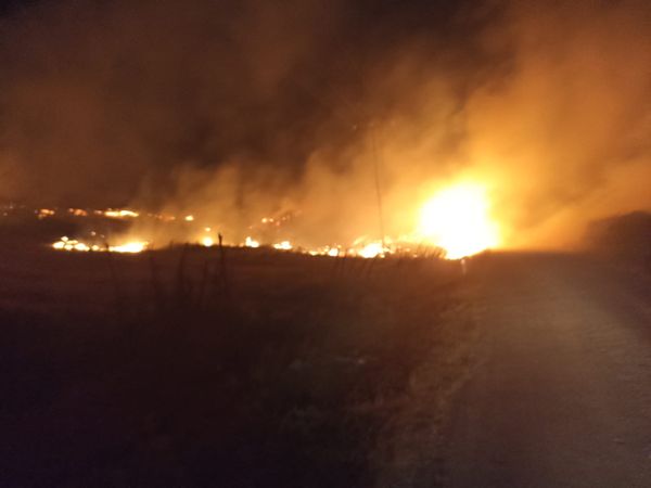 Balıkesir’in Savaştepe ilçesinde tarım