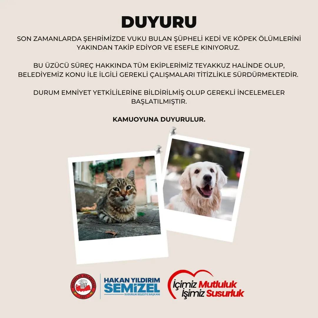 Susurluk Belediyesi, ilçede son