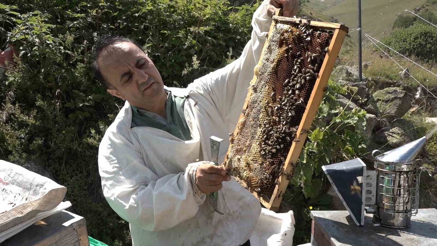 Rize’nin coğrafi işaretli dünyaca