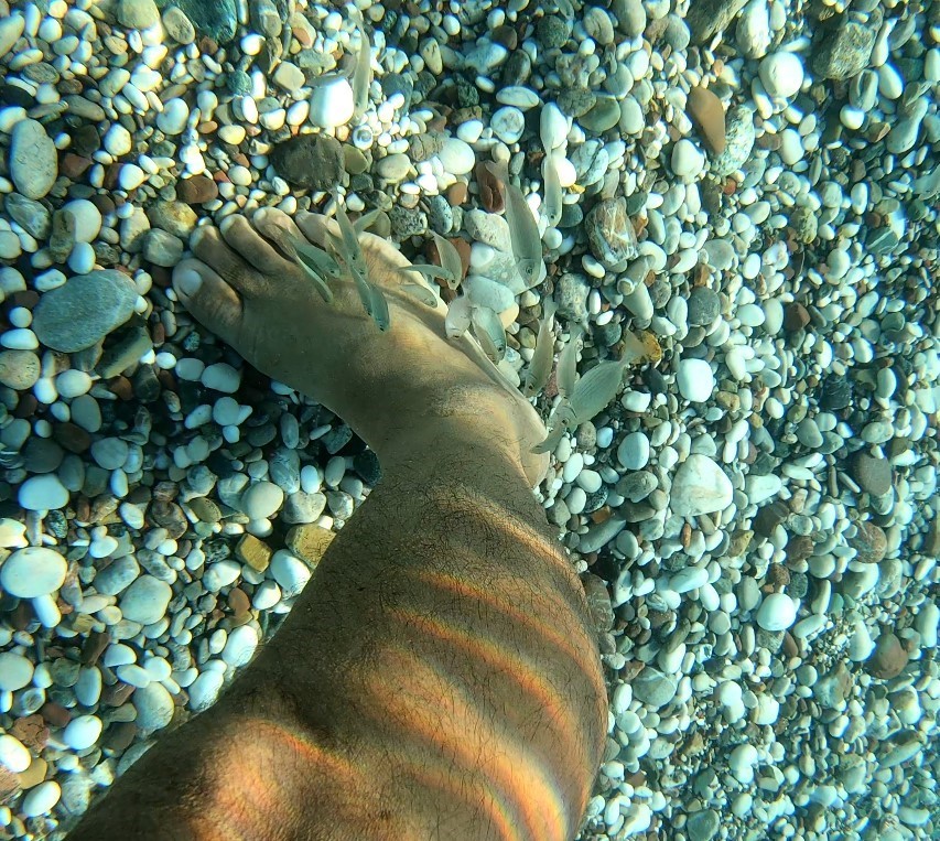 Antalya’da deniz kıyısında görülmeye