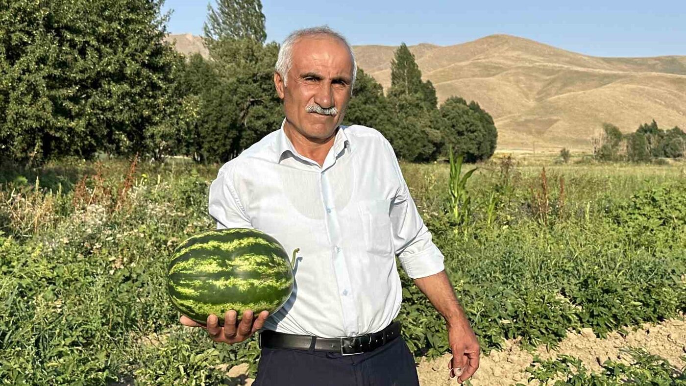 Hakkari’nin Yüksekova ilçesinde ikamet