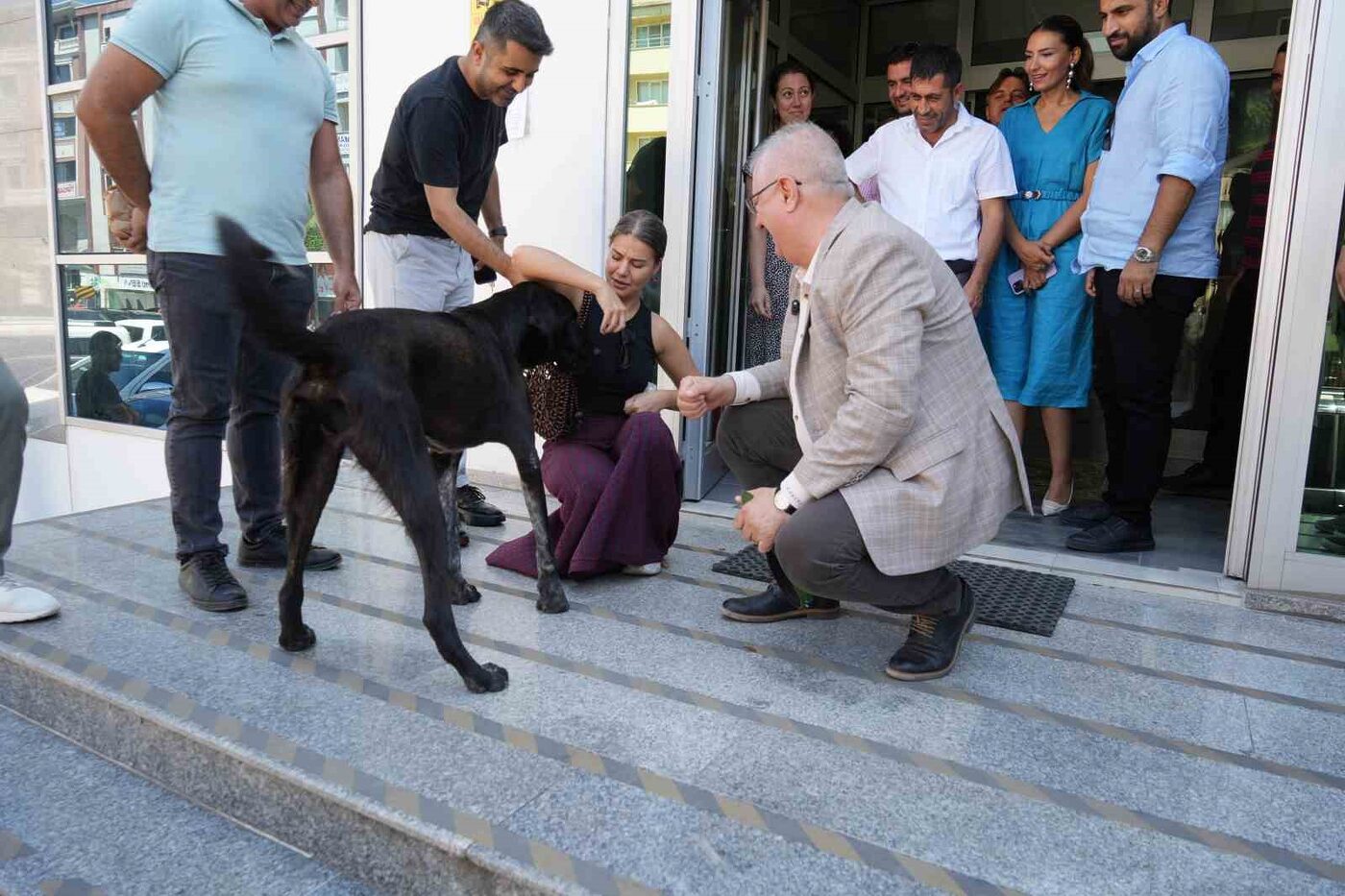 Edremit Belediye Başkanı Ertaş sahipsiz köpeği sahiplendi