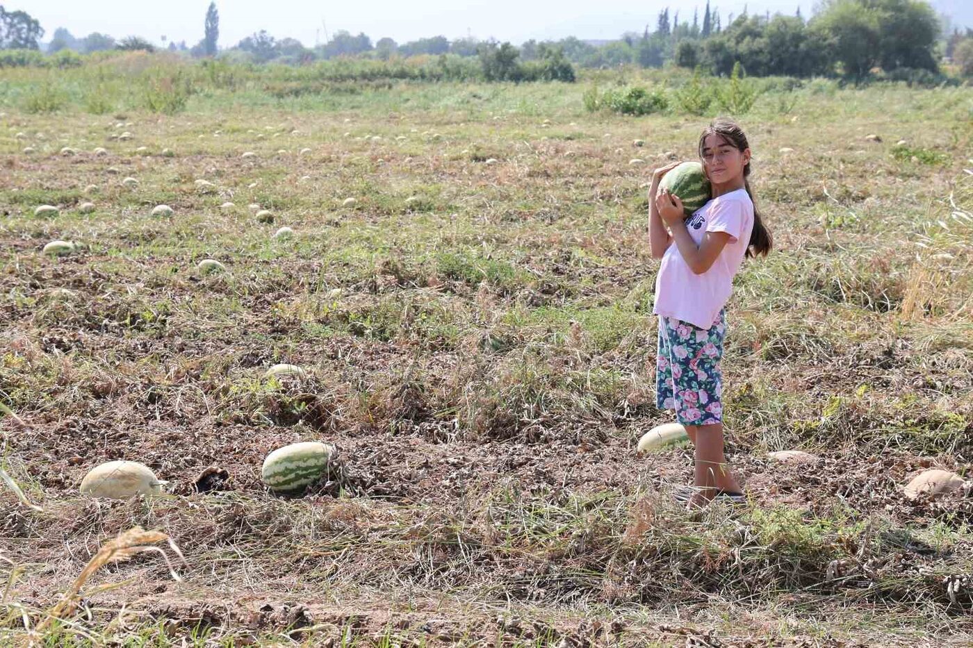 Aydın’da sezon başında oldukça