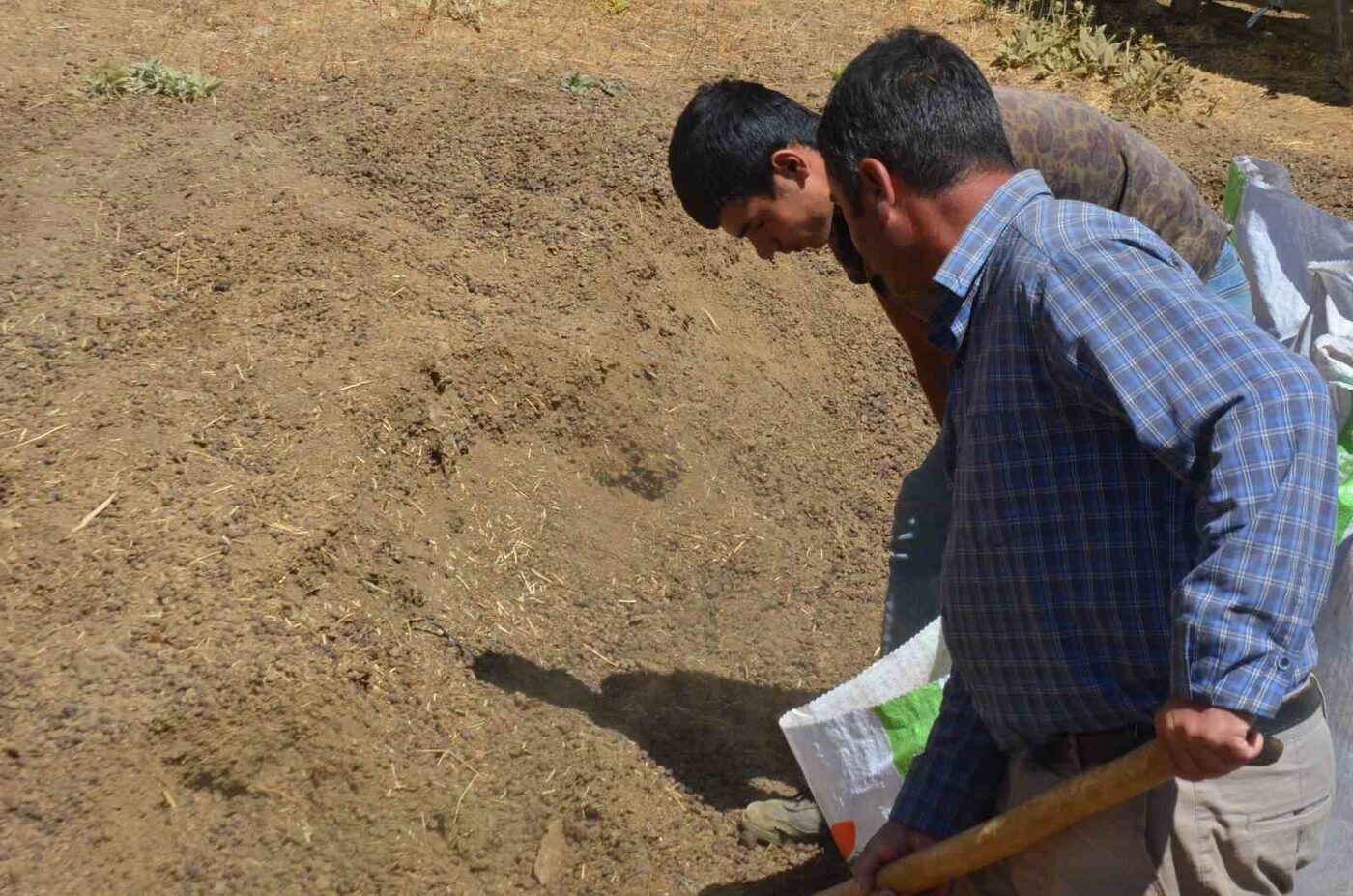 Malatya’da yaylada küçükbaş hayvan