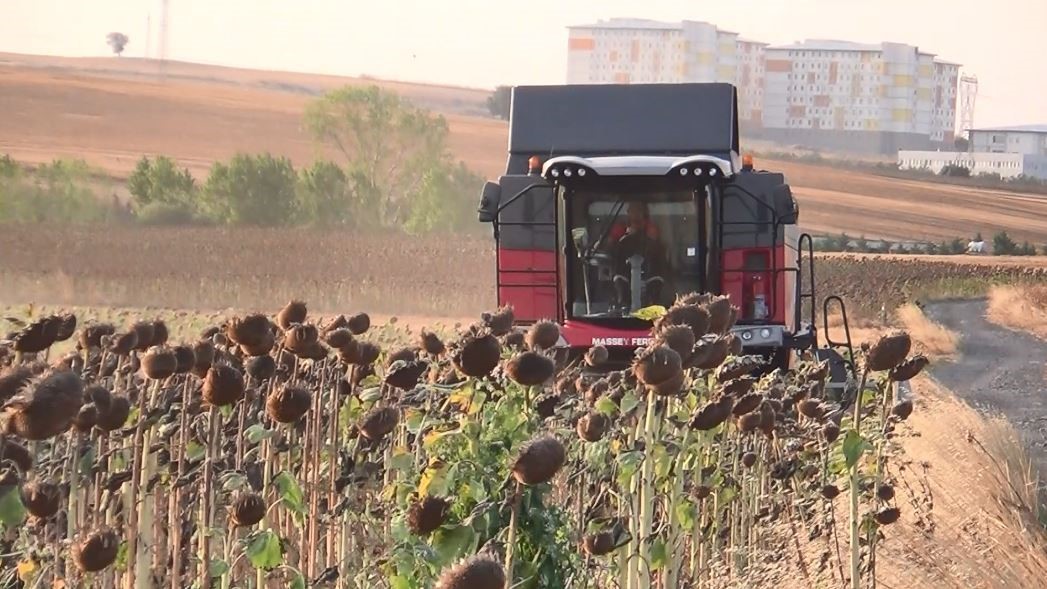 Trakya Bölgesi’nde geliştirilen yerli