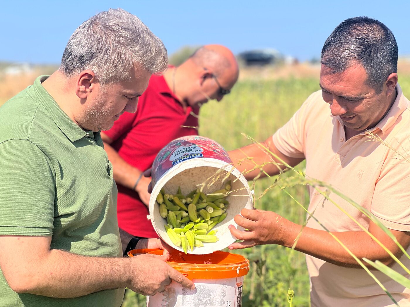 AK Parti Balıkesir Milletvekili