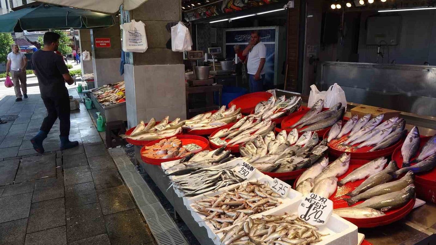 Karadeniz’de palamut bereketi