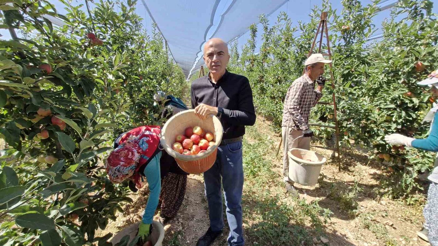 Türkiye’nin elma deposu kentlerinden