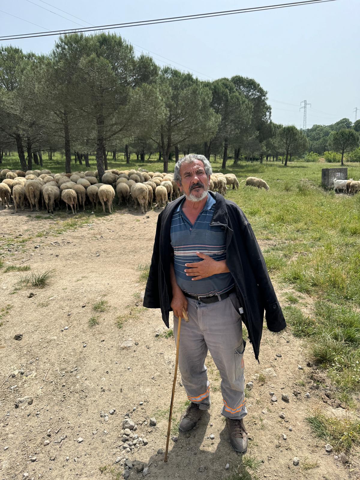 Büyükşehir Belediyesi, bir yıldır