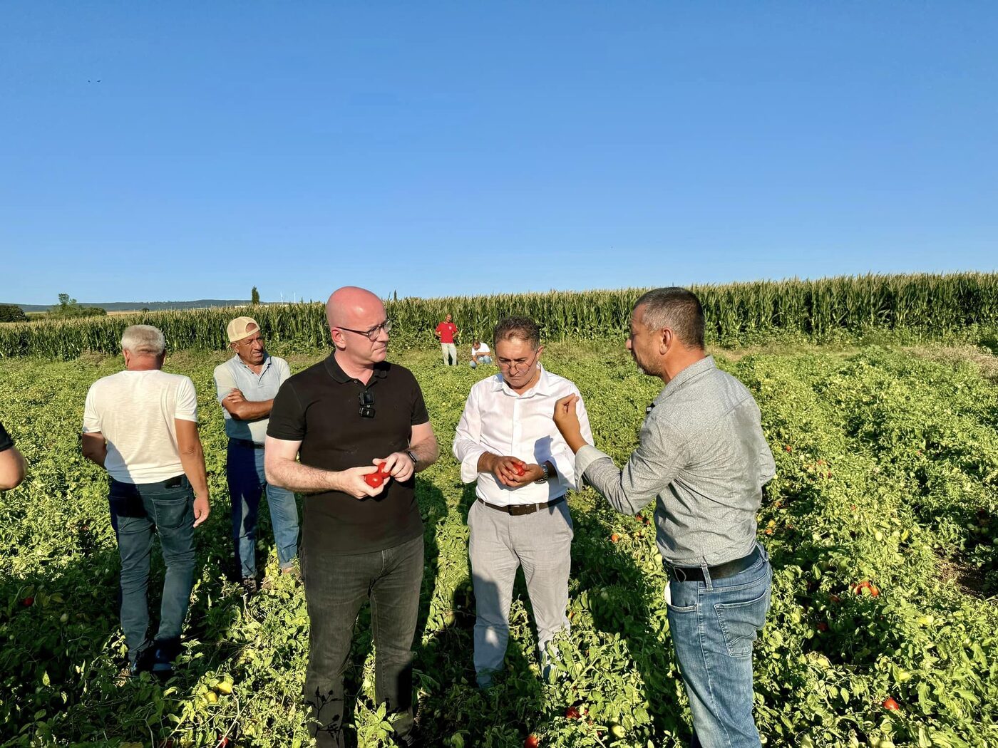 CHP Balıkesir Milletvekili Serkan