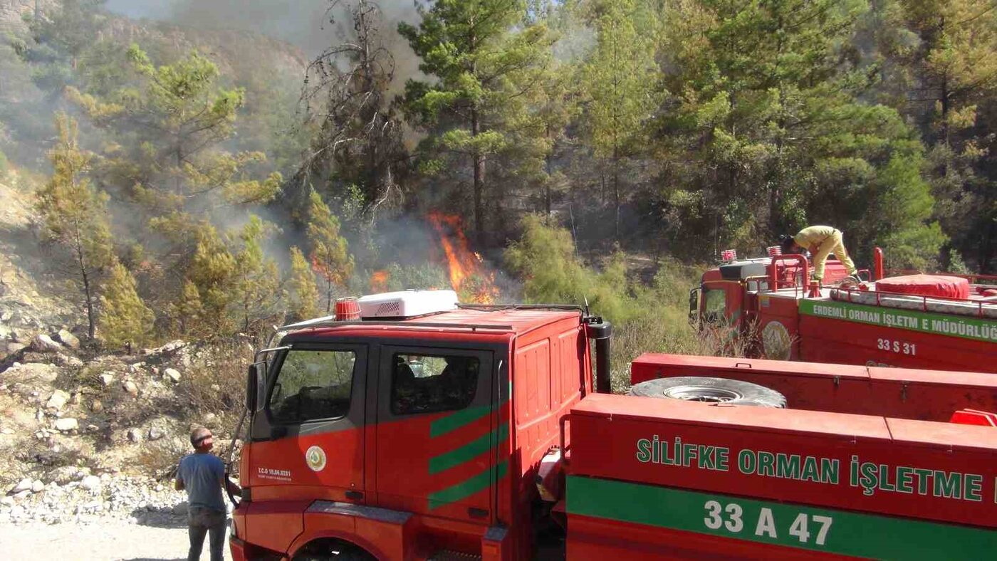 Mersin’in Silifke ilçesinde ormanlık