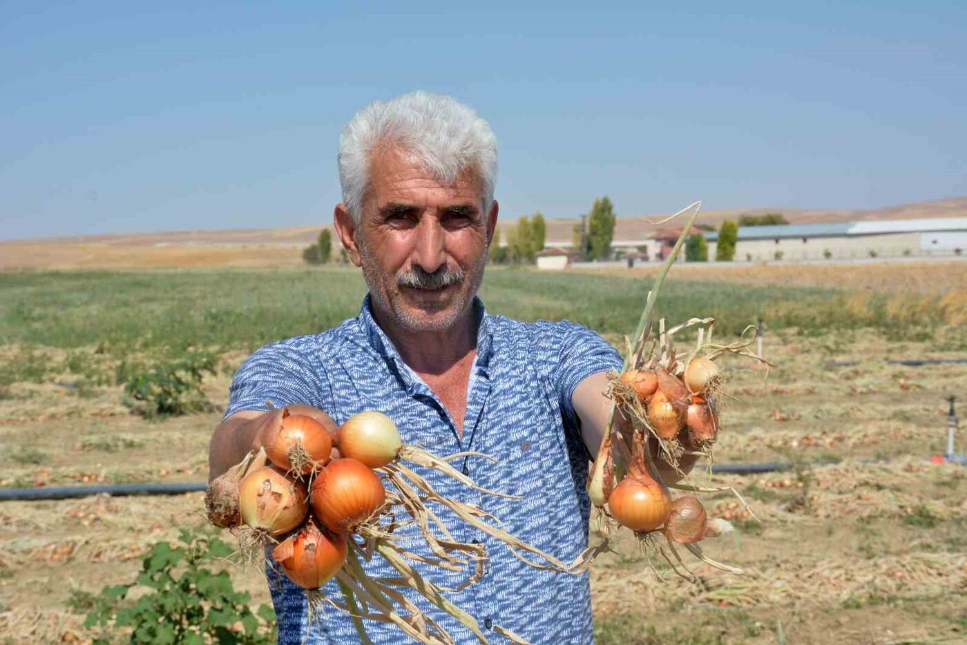 Soğan tarlada yandı