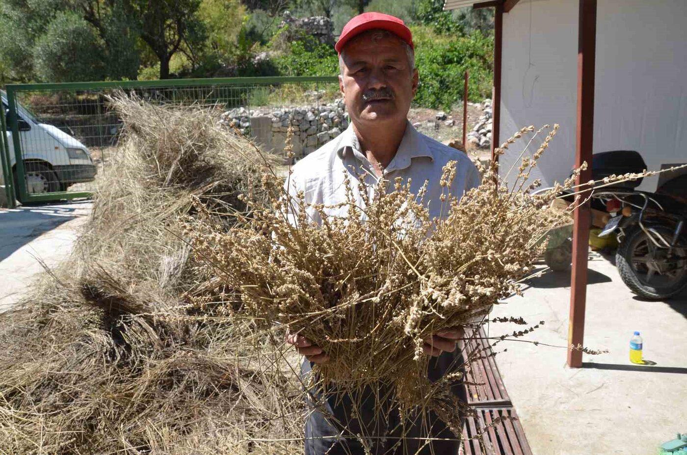 Antalya’nın Akseki ilçesinde 25