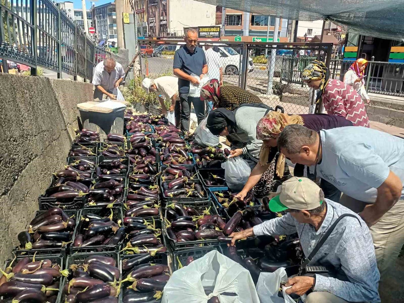 Zonguldak’ın Ereğli ilçesinde Ziraat