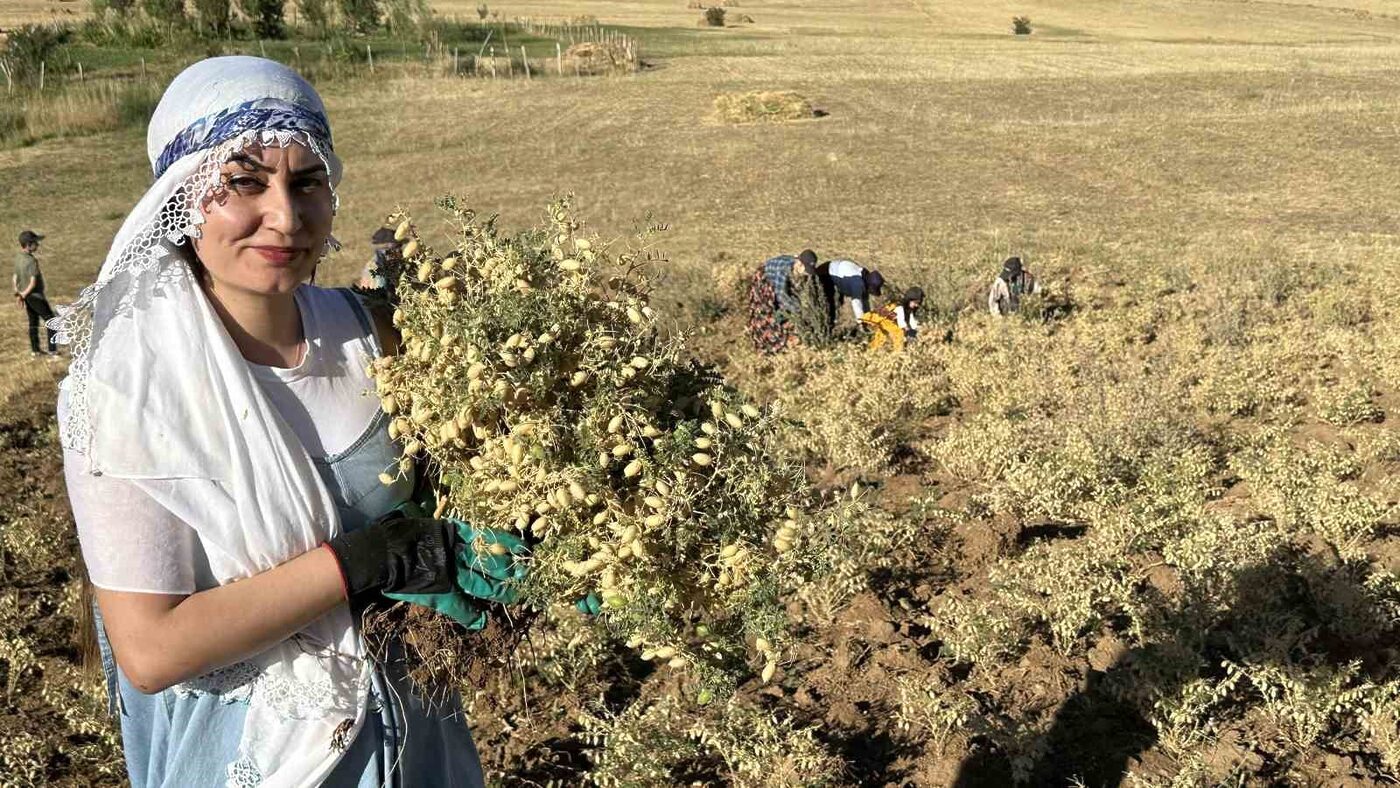 Hakkari’nin Yüksekova ilçesindeki Tarımsal