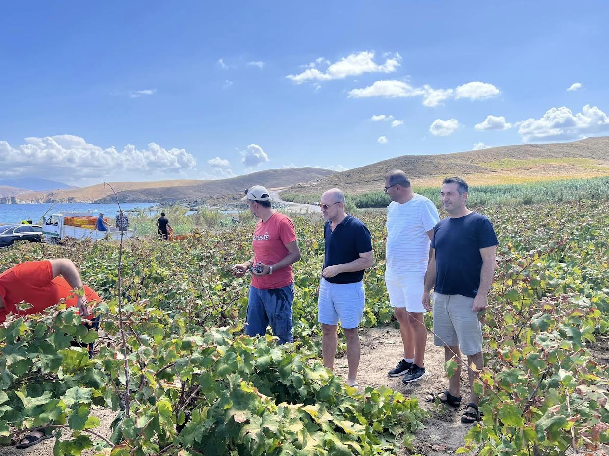 Avşa Adası'nın coğrafi işaretli