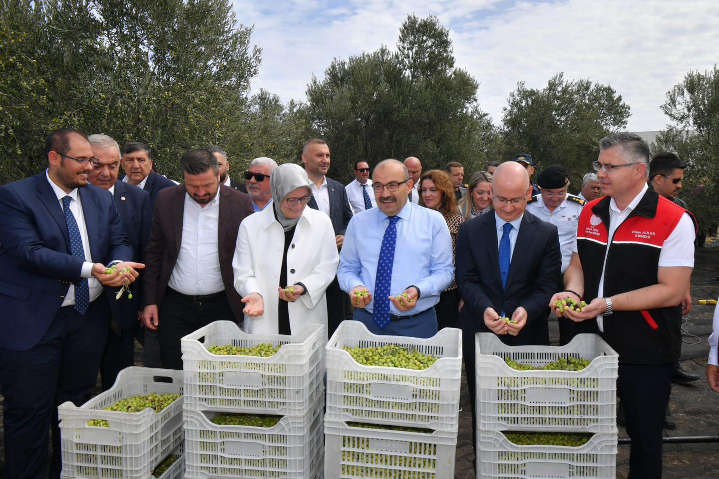 Balıkesir’in bereketli topraklarında zeytin