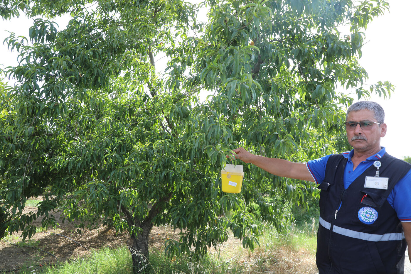 Muğla Büyükşehir Belediyesi il