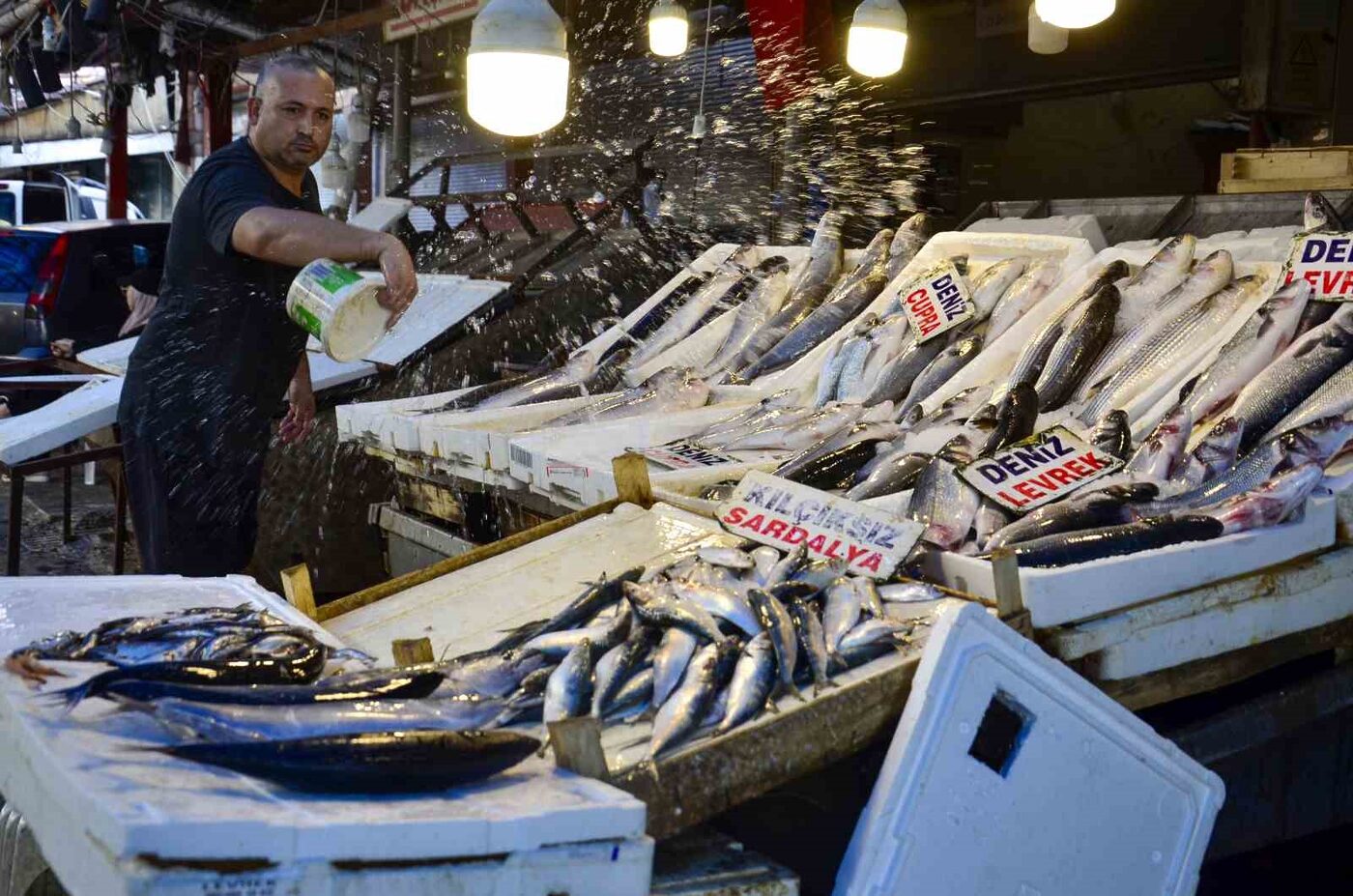 Balık fiyatlarında düşüş başladı