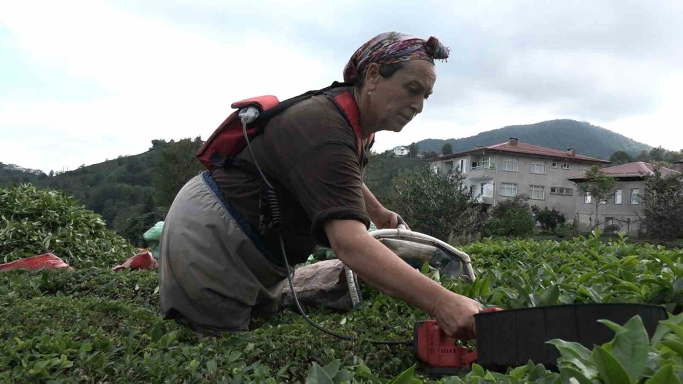 ÇAYKUR’un bugünden itibaren randevulu