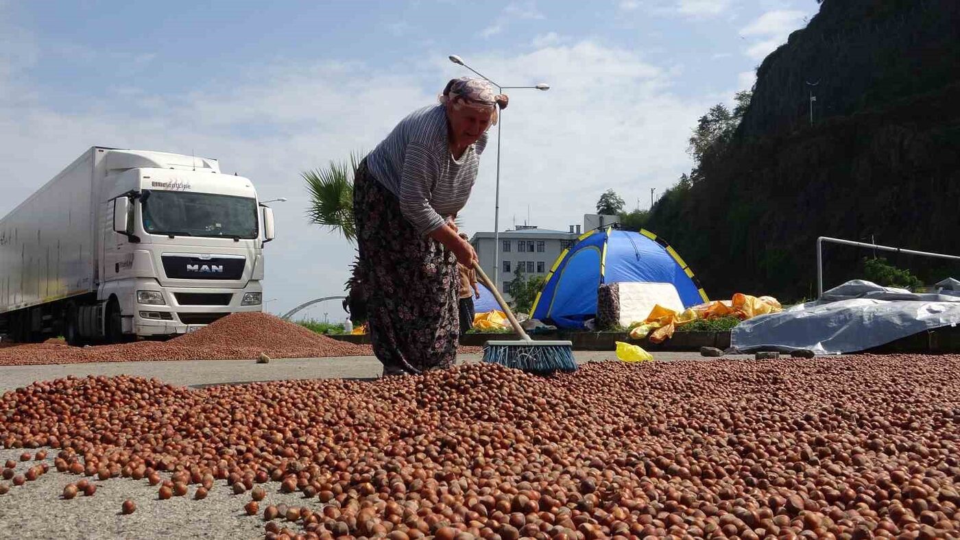 Giresun’un Keşap ilçesi Ziraat