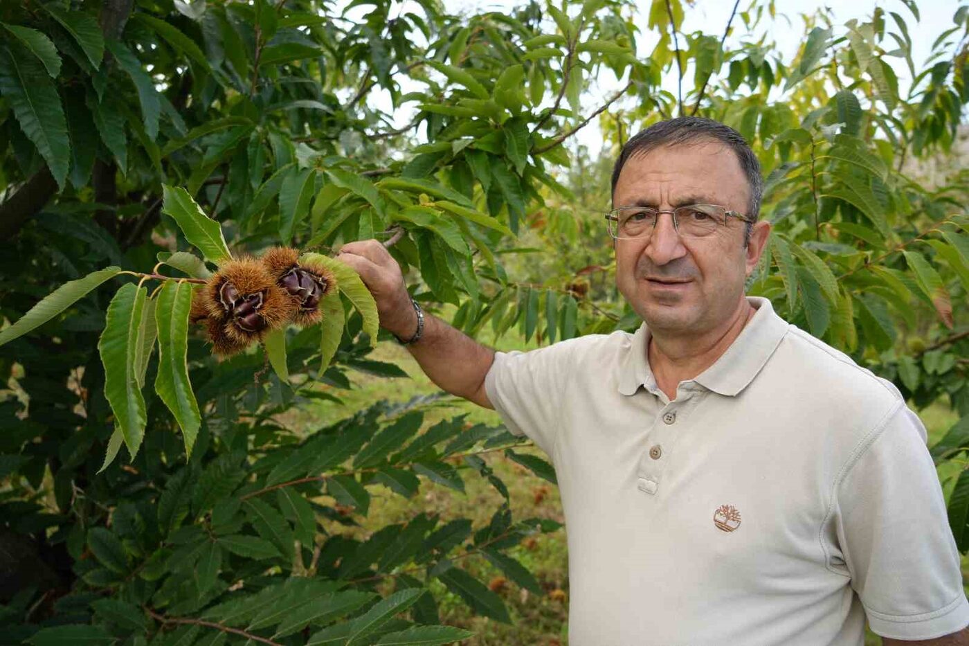 Ondokuz Mayıs Üniversitesi (OMÜ)