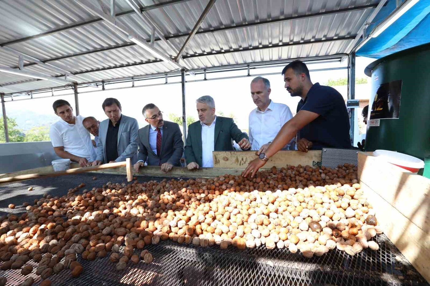 Tarım şehri İnegöl’de ceviz