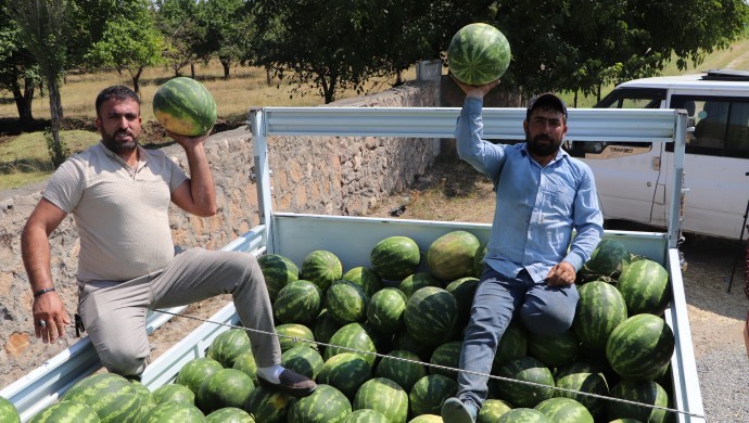 Domates, biber derken şimdide