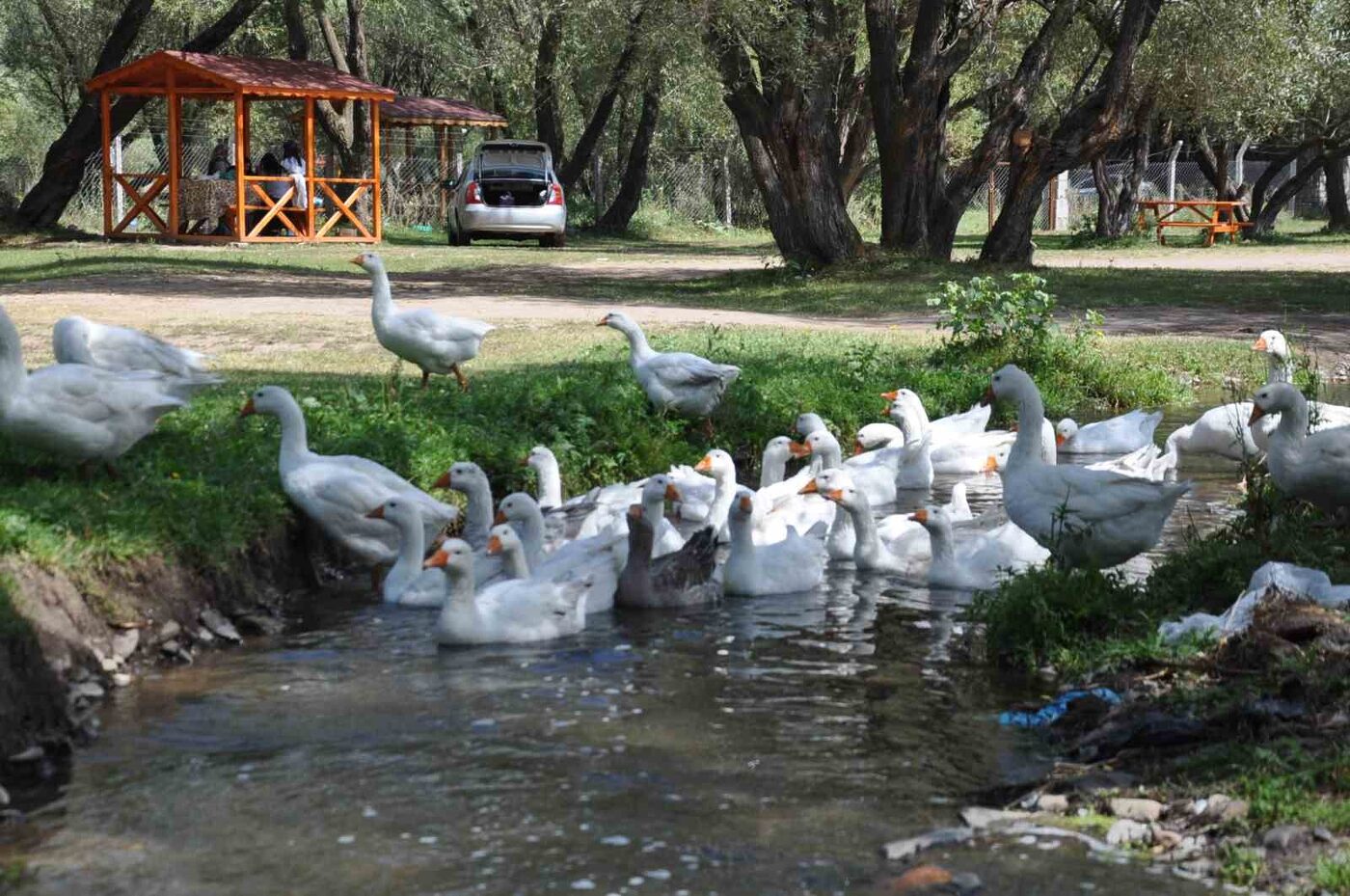 Türkiye’nin en meşhur ve