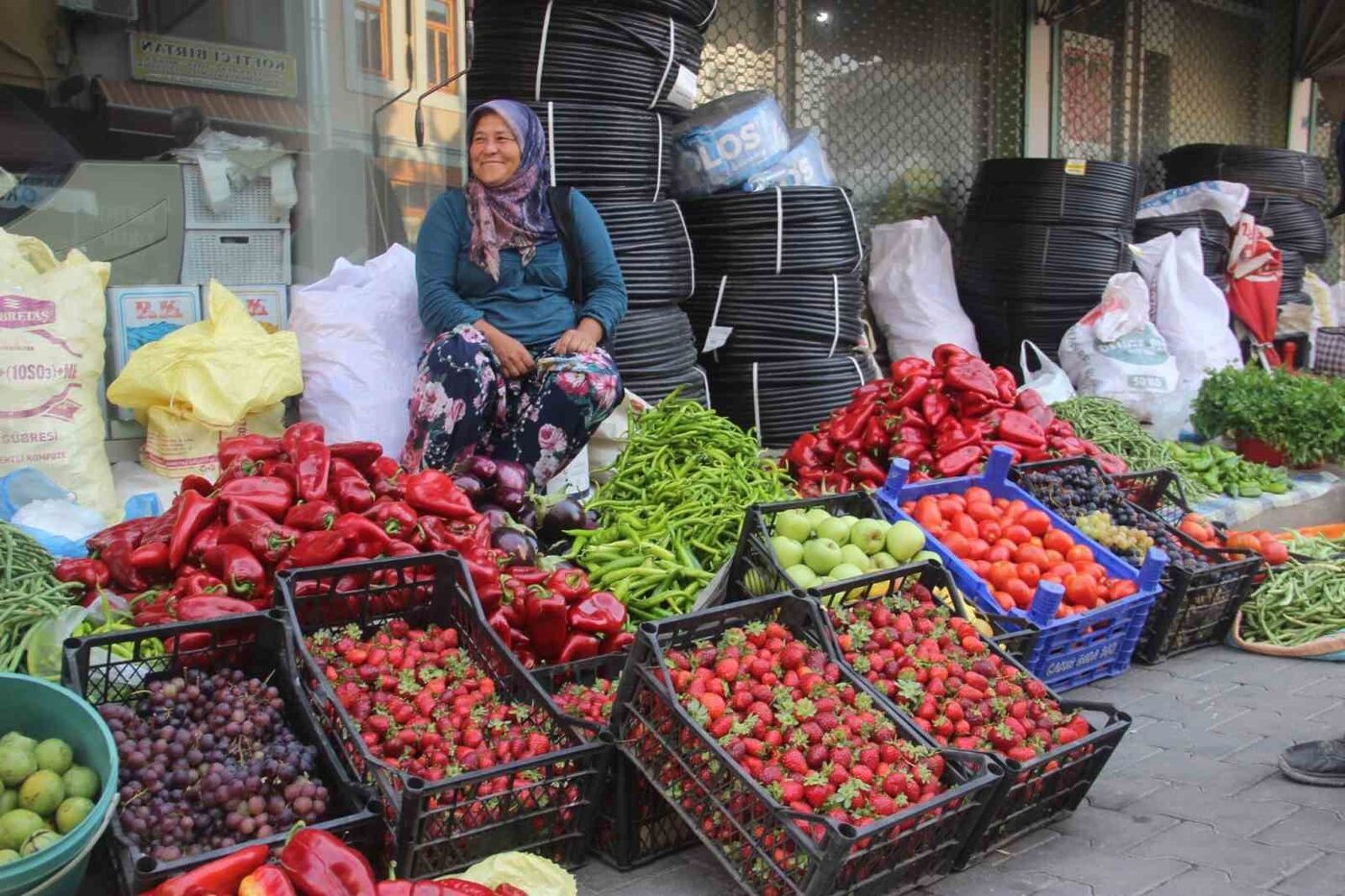 Çanakkale’nin Bayramiç ilçesinde Kaz