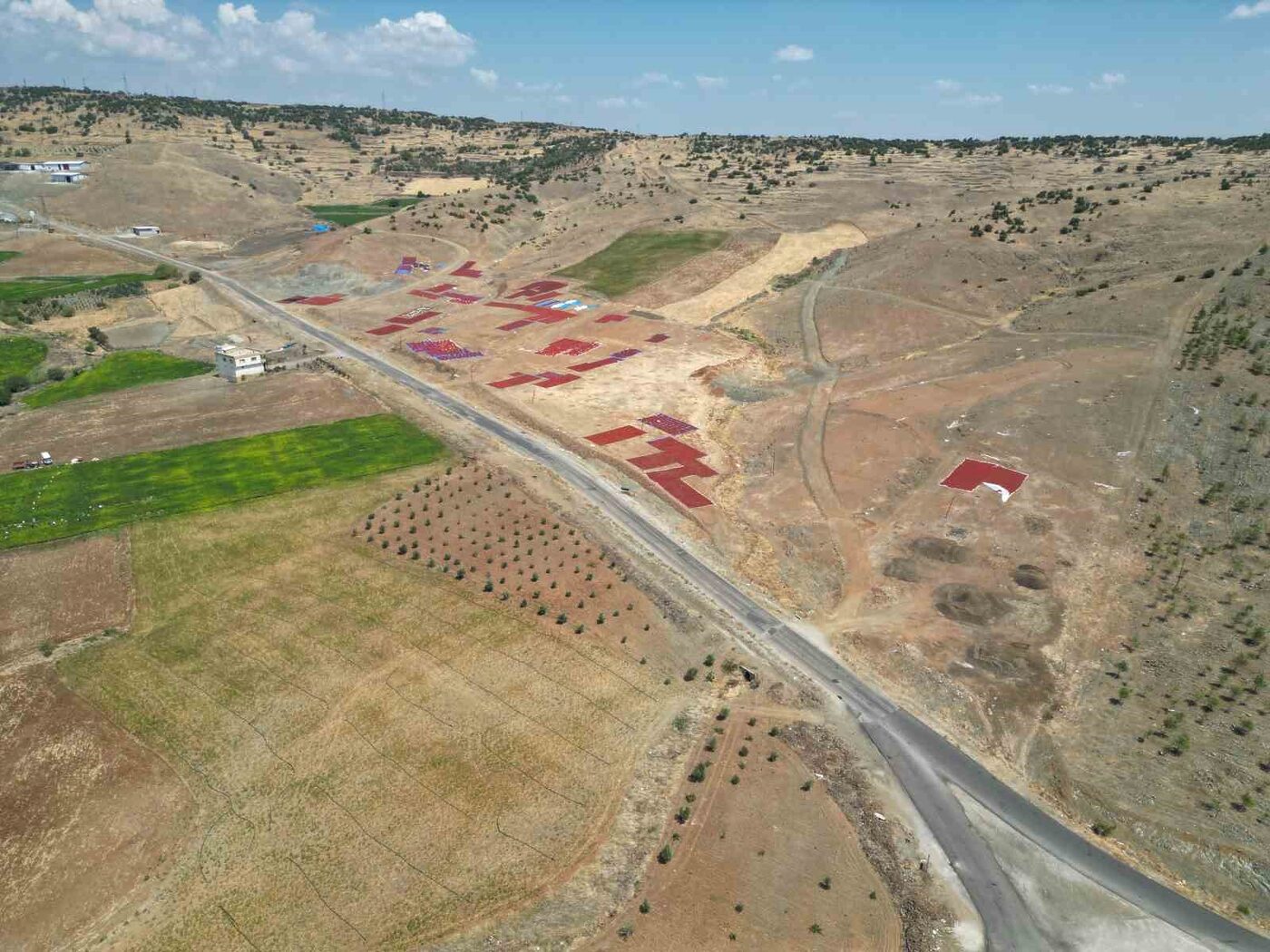 Kilis’te, acı biber hasadının