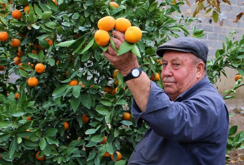 Bölge ekonomisi açısından büyük