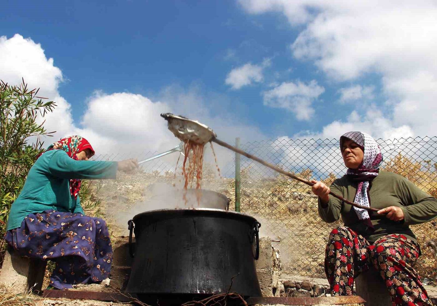 Üzümün her çeşidinin yetiştiği