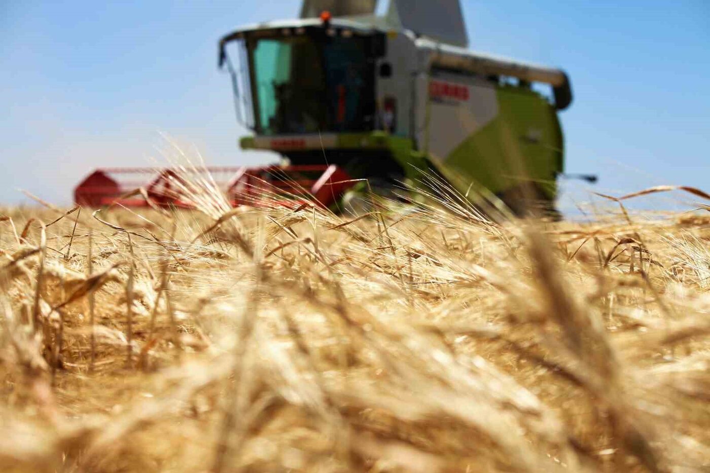 Türkiye’nin tahıl ambarı olarak