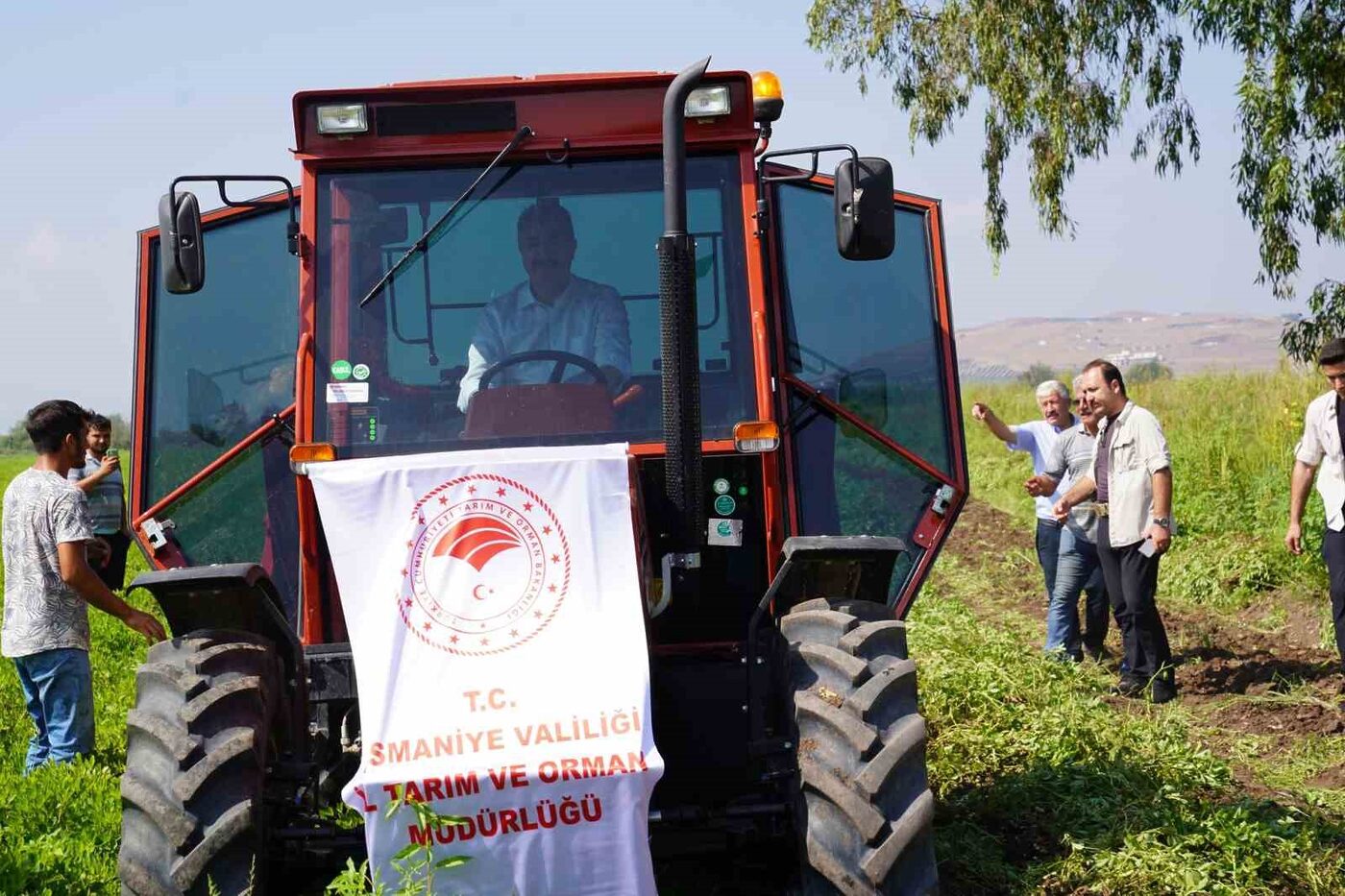 Türkiye’nin yer fıstığı ekimi,