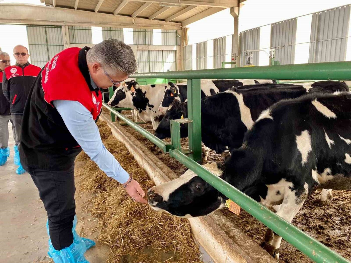 Balıkesir, ülke hayvancılığının gelişimi