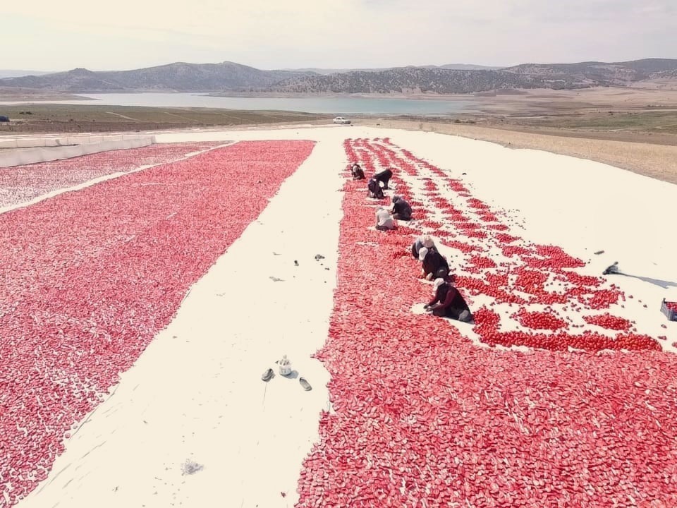 Yozgat’ın Çekerek ilçesinde 120