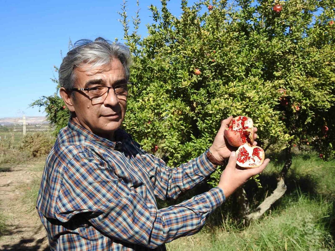 Türkiye’nin önemli tarım kentlerinden