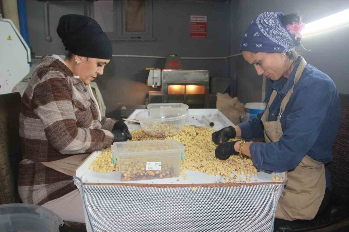 Ordu’da fındık sezonunun bitmesinin