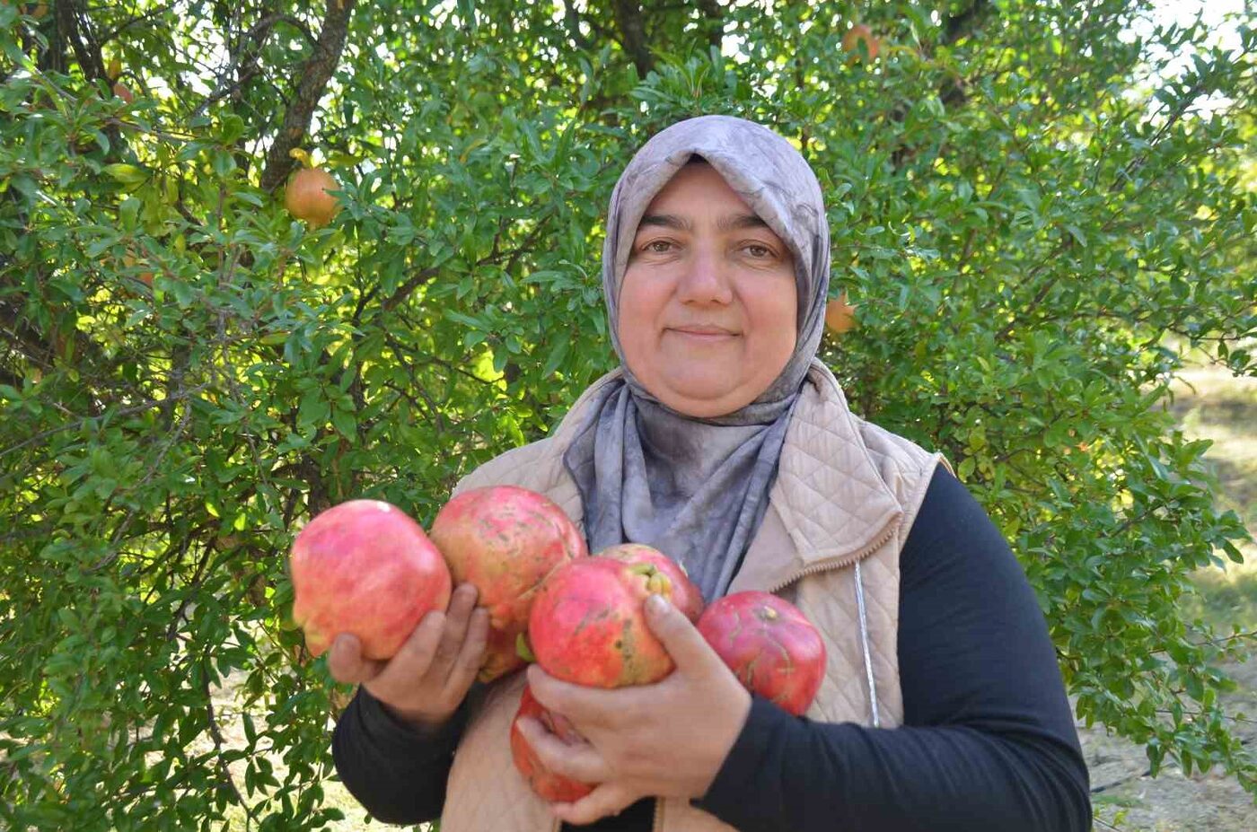 Bilecik’in narıyla ünlü İnhisar