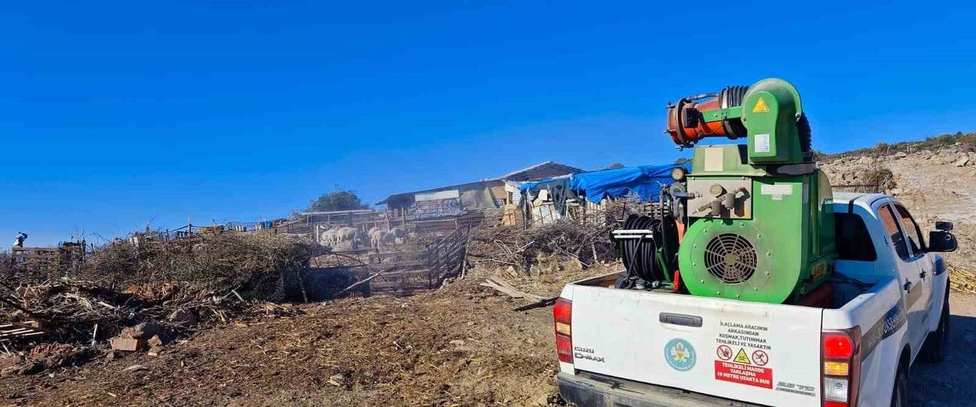 Manisa Büyükşehir Belediyesi, küçükbaş